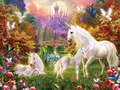 Unicorns - unicorns photo