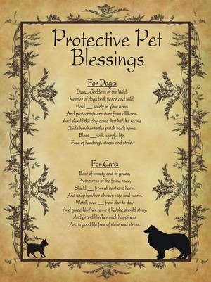 protection spell for pets