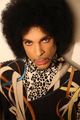 💜 Prince Rogers Nelson (June 7, 1958 – April 21, 2016) - music photo