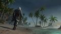 Assassin's Creed IV: Black Flag - video-games photo
