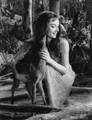 Beautiful Audrey 💕 - classic-movies photo