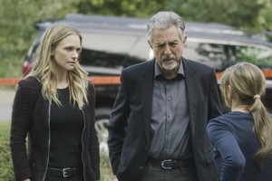 Criminal Minds ~ 13x20 "All You Can Eat"
