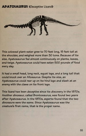  Dinosaur Hunter’s Guide Book