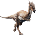 Dracorex - jurassic-park photo