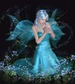 Fairy  - fairies photo