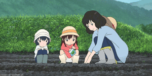  Hana, Yuki and Ame growing vegetables