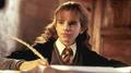 Harry Potter characters - harry-potter photo
