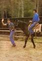 Horseback Riding With Paul McCartney - michael-jackson photo