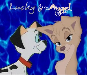 Lucky and Angel