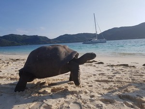  Marianne Island, Seychelles