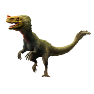  Proceratosaurus
