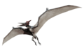 Pteranodon - jurassic-park photo