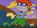 Rugrats - Mother's Day 452 - rugrats photo
