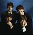 The Beatles - the-beatles photo