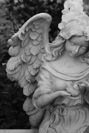 beautiful angel 👼