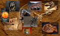 paleontology - jurassic-park fan art