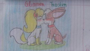  tracker x glimmer
