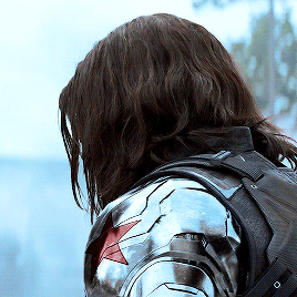  *Bucky : The Winter Soldier*