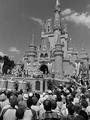 1971 Grand Opening Of Disney World - disney photo