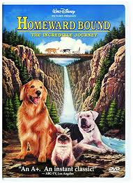  1993 Disney Film, Homeward Bound, On DVD