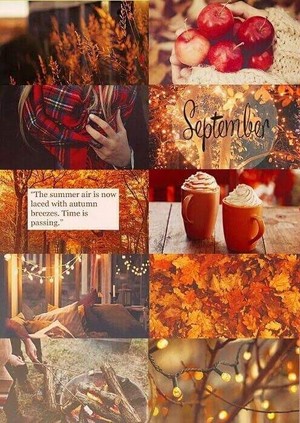  Autumn aesthetic🍃🍁