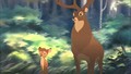 bambi - Bambi  wallpaper
