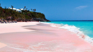  Beautiful berwarna merah muda, merah muda Sandy Beaches 🌺