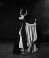 Eleanor Audley As Maleficent - disney photo