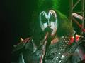 Gene ~Cheyenne, Wyoming...July 23, 2010 (The Hottest Show on Earth Tour)  - kiss photo