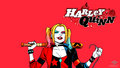 dc-comics - Harley Quinn  wallpaper