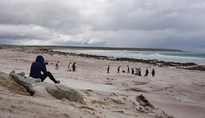  丘, ヒル Cove, Falklands