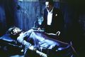 House on Haunted Hill (1999) - horror-movies photo
