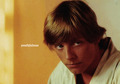 Luke Skywalker - star-wars photo