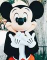 Mickey Mouse - disney photo
