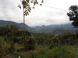  Mindo, Ecuador