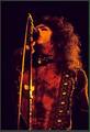 Paul ~Houston, Texas...August 13, 1976 (Spirit of 76/Destroyer Tour)  - kiss photo