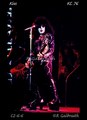 Paul ~Kansas City, Missouri...July 26, 1976 (Spirit of 76 / Destroyer Tour) - kiss photo