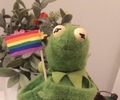 Pride Kermit - lgbt photo
