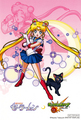 Sailor Moon - sailor-moon photo