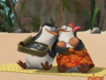 Skipper and Love - penguins-of-madagascar photo