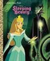 Sleeping Beauty Storybook - disney photo