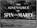 The Adventures Of Spin And Marty - disney photo