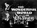 The Wonderful World Of Disney - disney photo