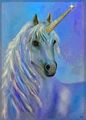 Unicorn(s)  - unicorns photo