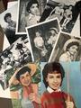 Vintage Assortment Of Annette Funnicello Press Photos - disney photo
