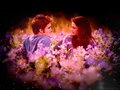 i have a quetion - twilight-series photo