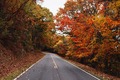 🍁Autumn Country Road🧡🍂 - autumn photo