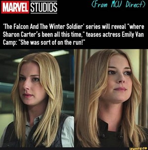  *Sharon Carter : The falco, falcon and the Winter Soldier*