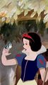 *Snow White : Snow White and The Seven Dwarfs* - disney-princess photo
