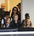 *The Jolie-Pitt Family Album* - brad-pitt photo